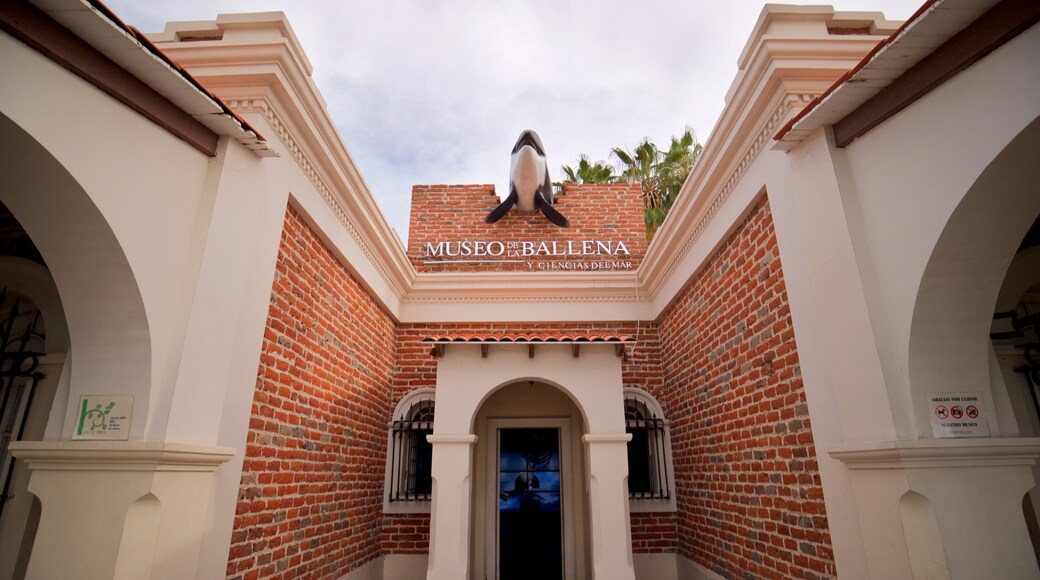 Whale Museum which includes signage