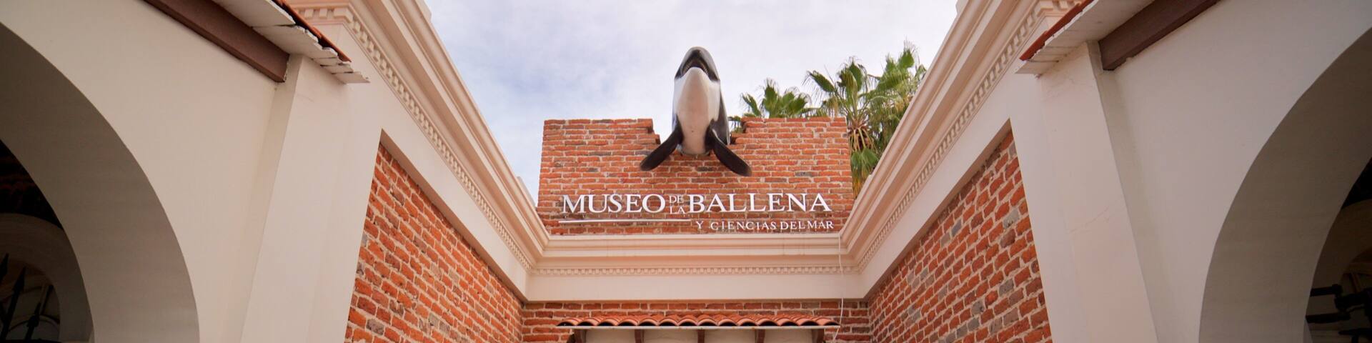 The entrance to Museo de la Ballena with a large whale sculpture above the entrance.