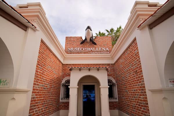 Whale Museum which includes signage