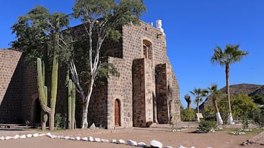 A stone building with arched doorways, surrounded by cacti and palm trees.