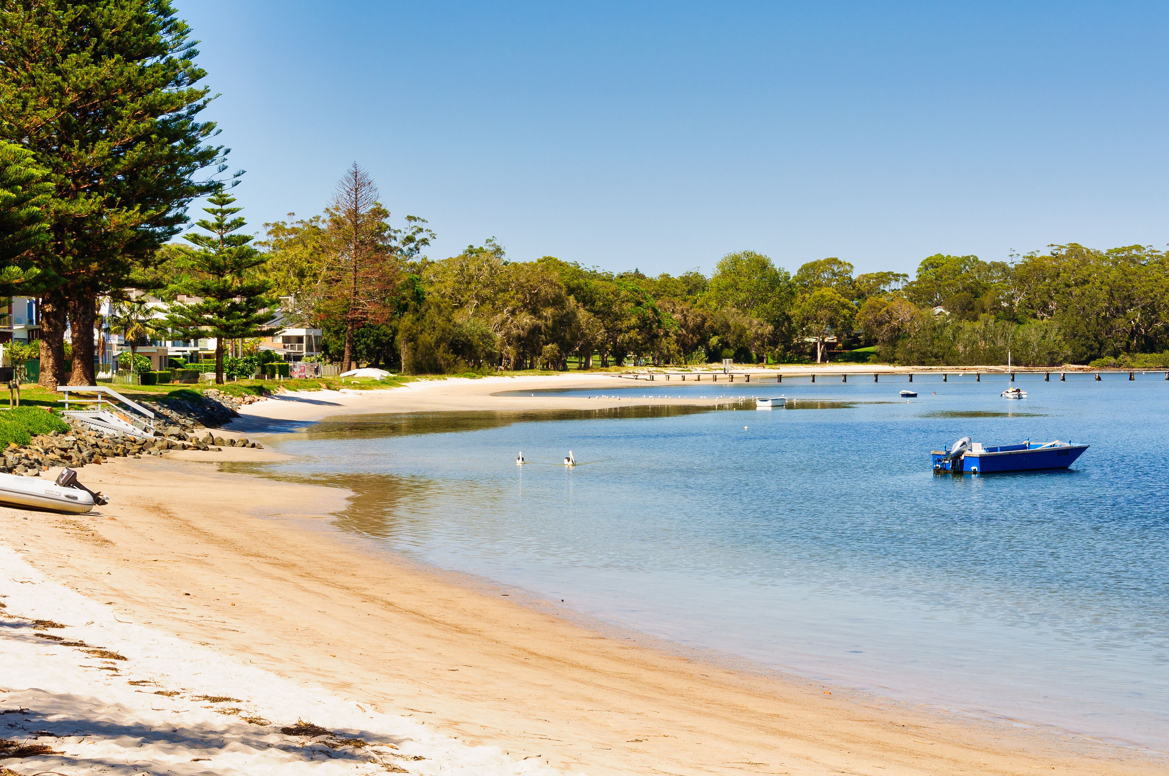 A beach with a sandy shore, calm water, a blue boat, and a forested area in the background.