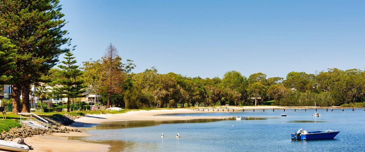 A beach with a sandy shore, calm water, a blue boat, and a forested area in the background.