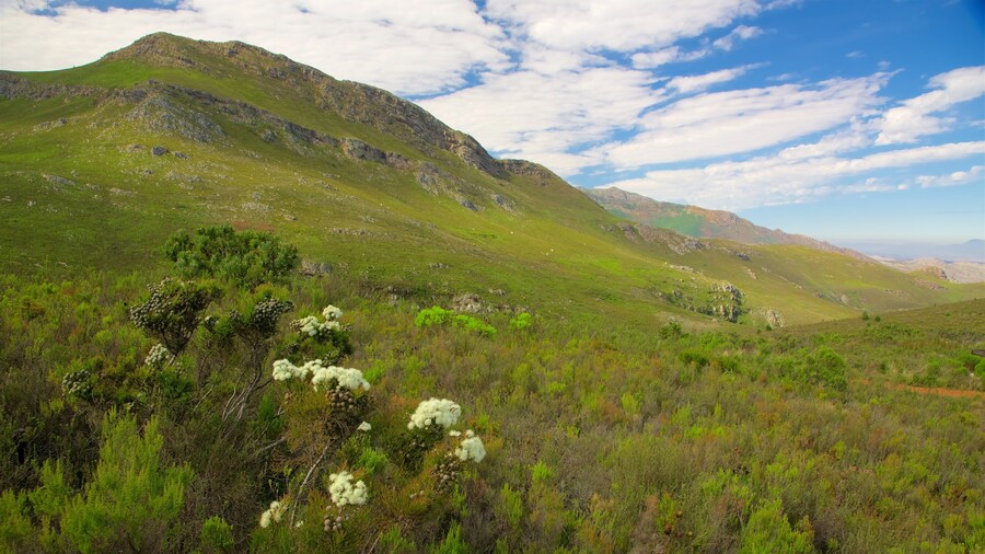 Mont Rochelle Nature Reserve toont vredige uitzichten, landschappen en bergen