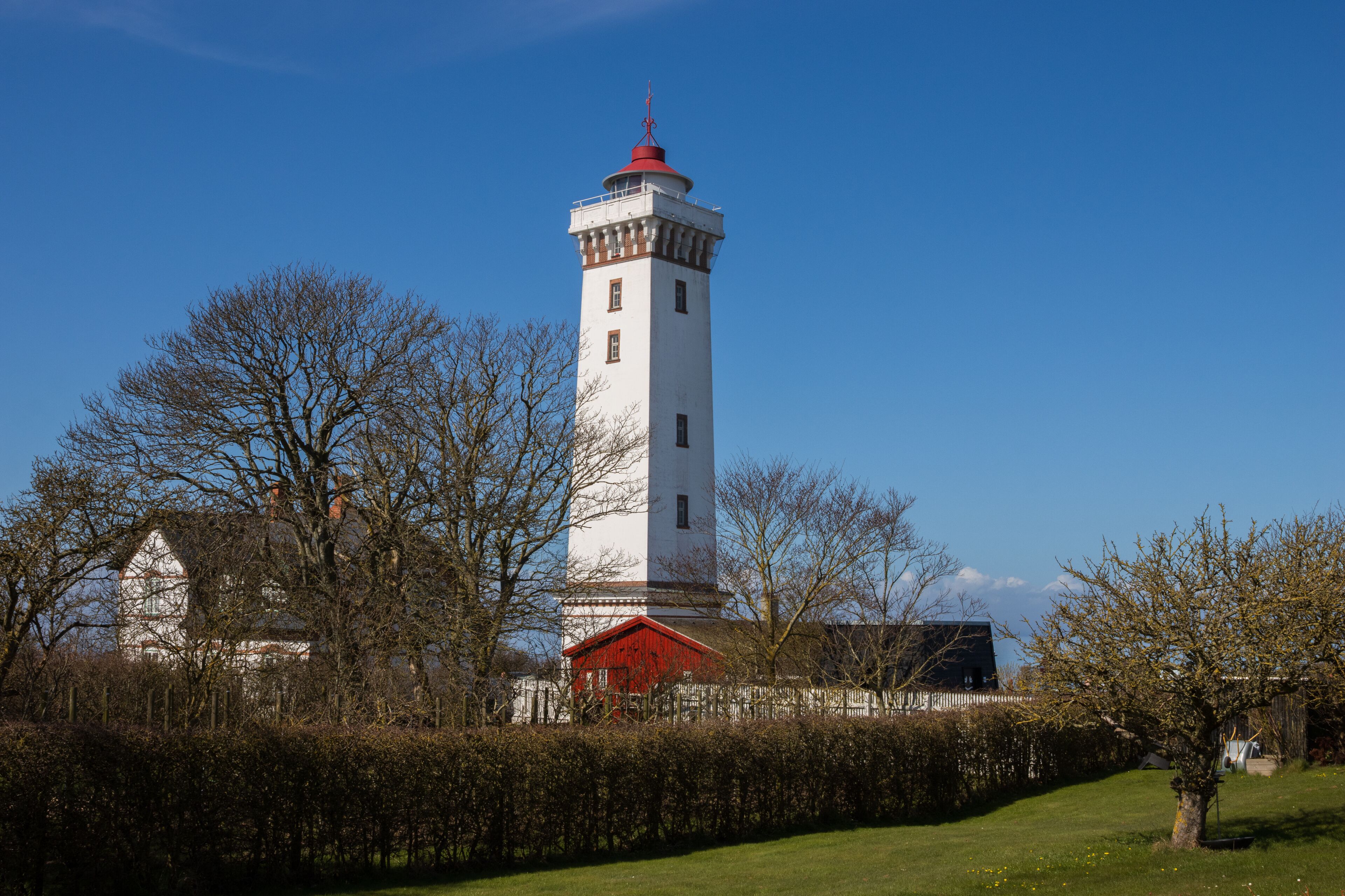 A white lighthouse with a red top, surrounded by trees and a hedge.