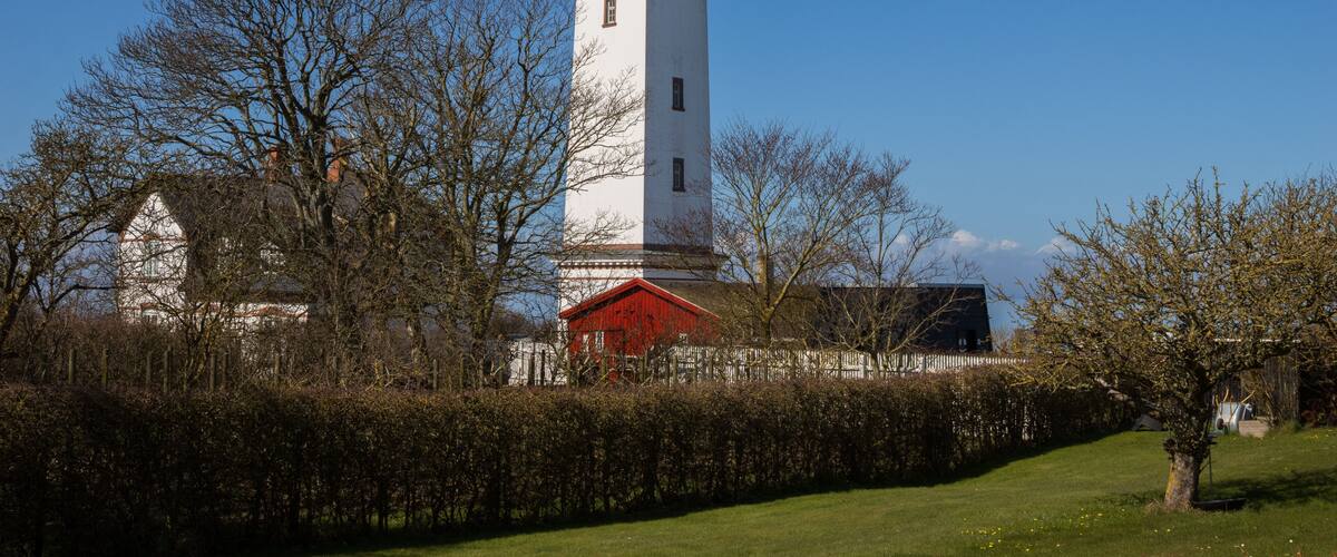 A white lighthouse with a red top, surrounded by trees and a hedge.