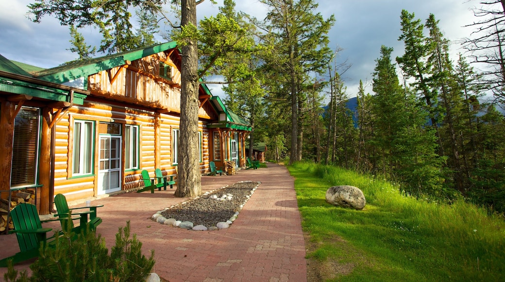 Jasper National Park which includes a park