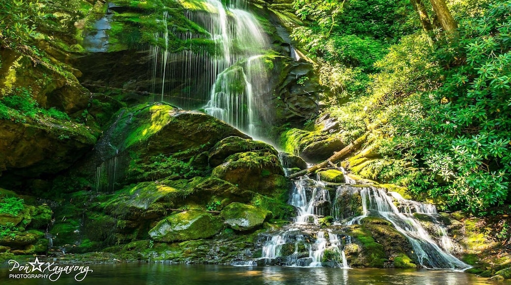 The beautiful Top falls of Catawba Falls. A must place to see and it very peaceful when there not a lot of peoples