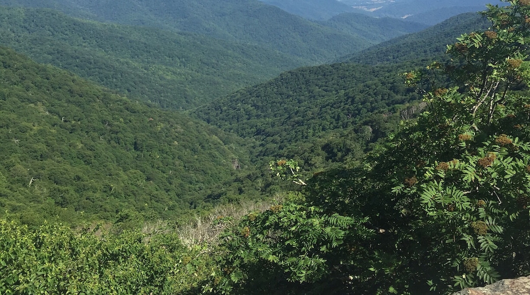 Typical views from one of the many lookout areas on the Blue Ridge Parkway.