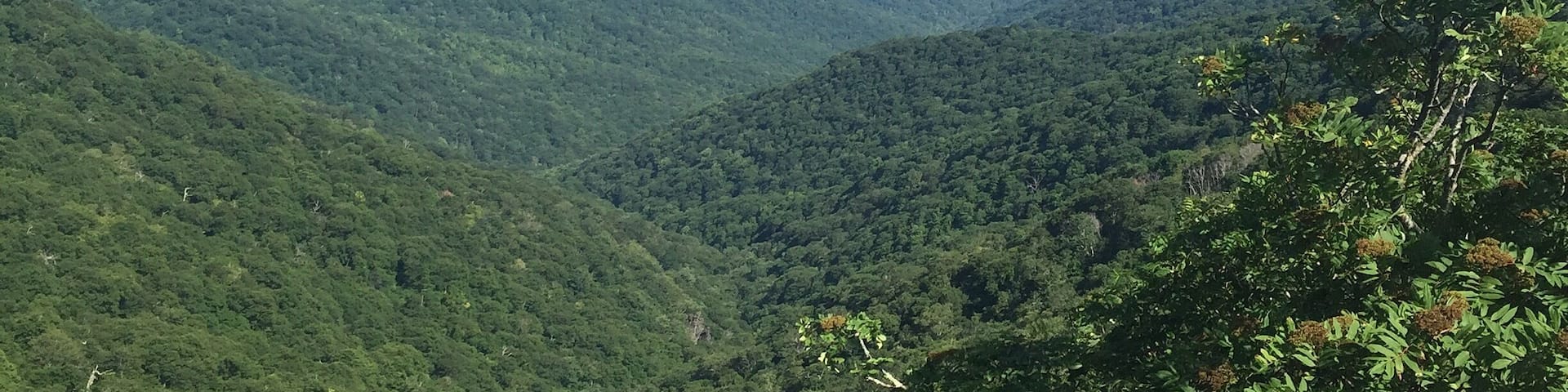 Typical views from one of the many lookout areas on the Blue Ridge Parkway.