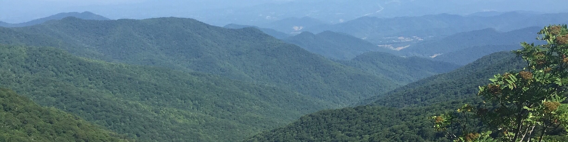Typical views from one of the many lookout areas on the Blue Ridge Parkway.