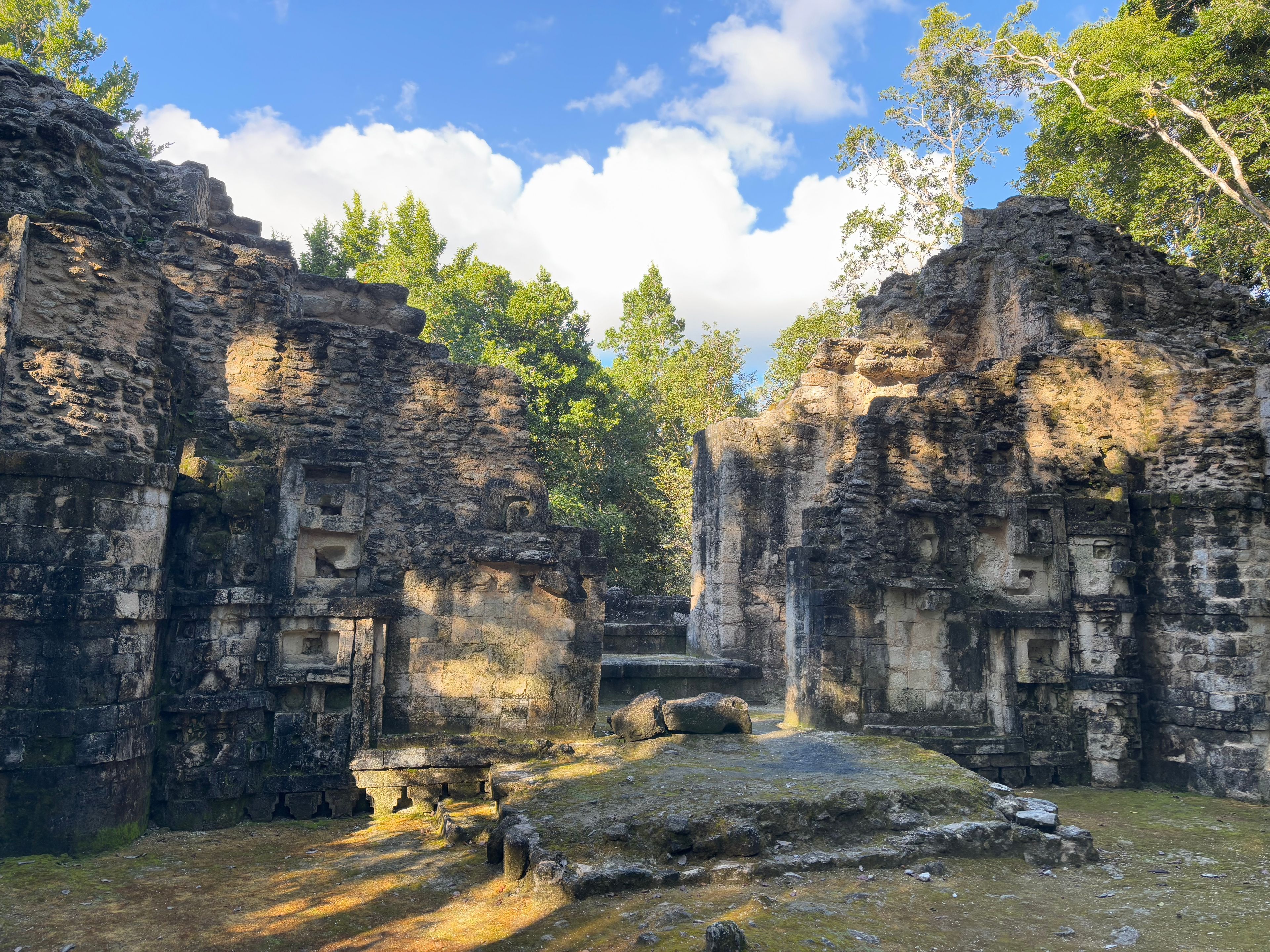 Ancient stone ruins with intricate carvings, surrounded by lush greenery and a clear blue sky.