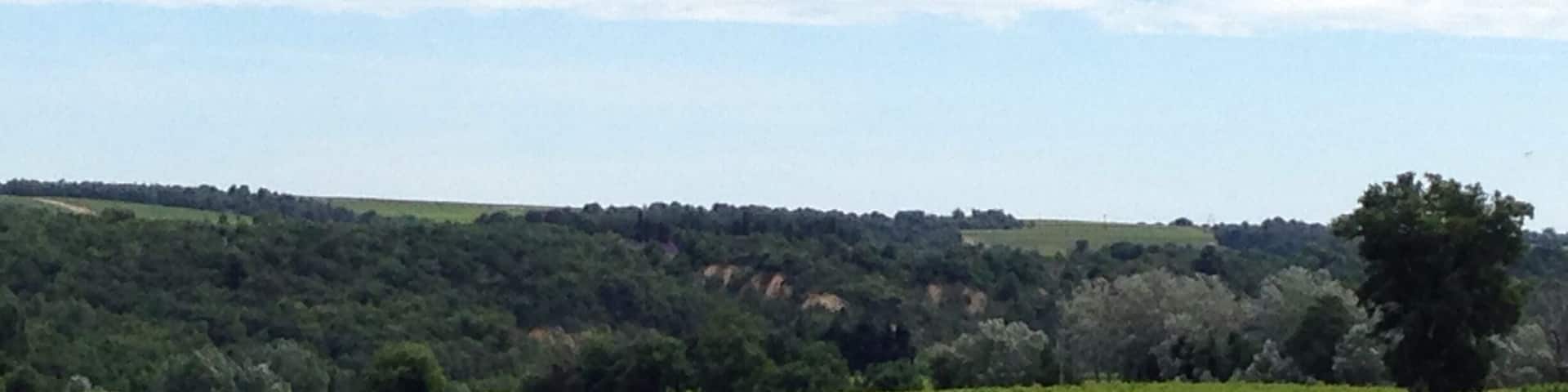 Take the winding back roads from Vaison-la-Romaine through to Valreas in the Cote de Rhone. You won't be disappointed by the views of lavender, vines and orchards. As well as quaint old villages. My favourite hilltop town was Grignan.