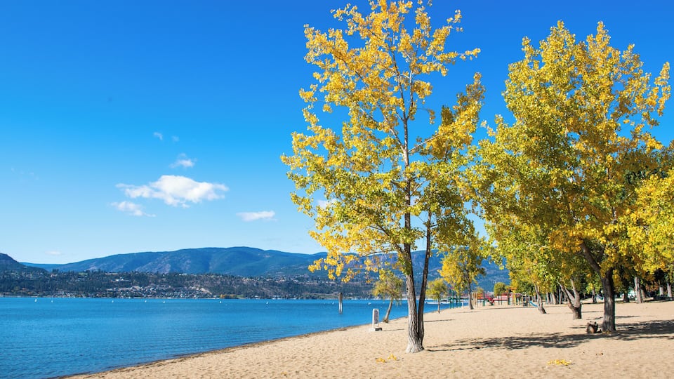 Kelowna_SouthPandosy_6270073_02