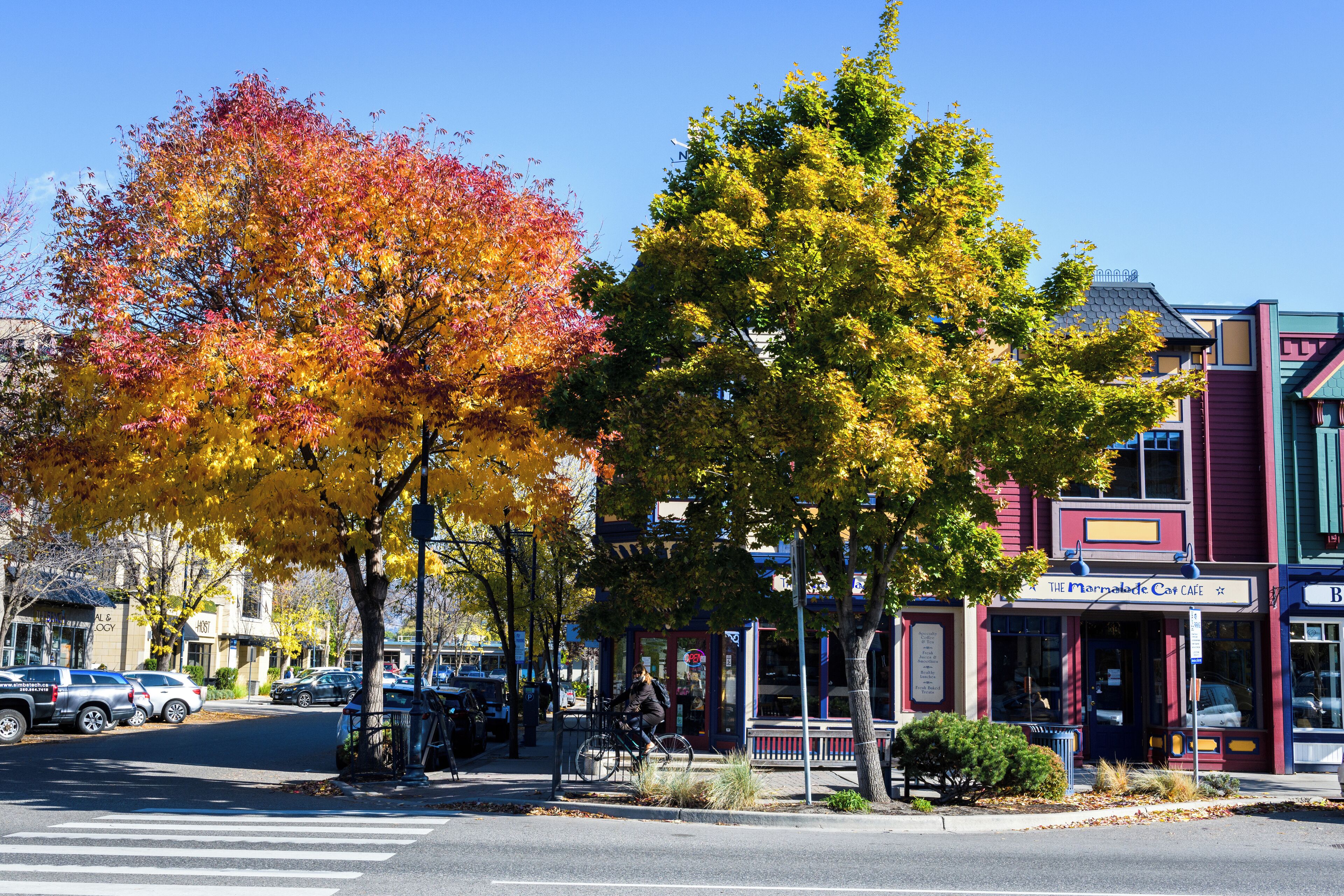 Kelowna_SouthPandosy_6270073_09