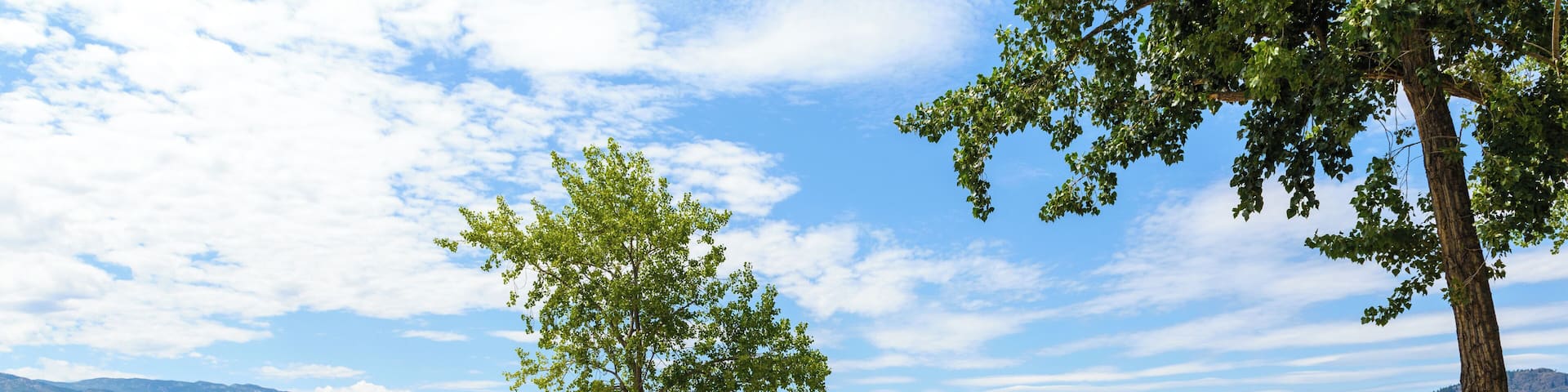 Kelowna_SouthPandosy_6270073_03