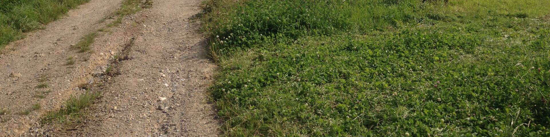 74350 Cernex, France