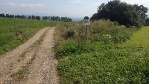 74350 Cernex, France