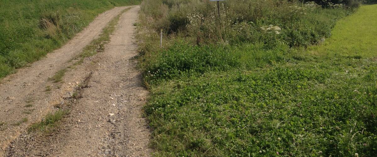 A rural dirt road with a sign indicating a communal path.