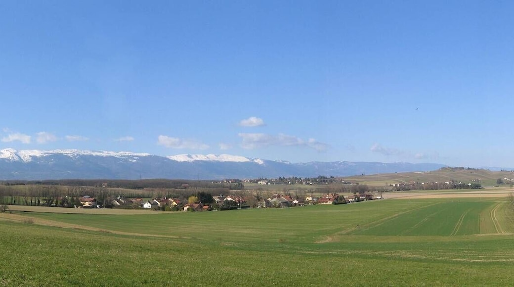 Campagne genevoise Jura depuis Thairy 15 mars 2009