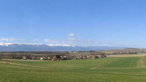 Campagne genevoise Jura depuis Thairy 15 mars 2009