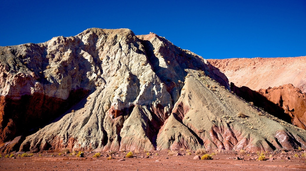 Valle del Arcoiris mostrando paisagens do deserto