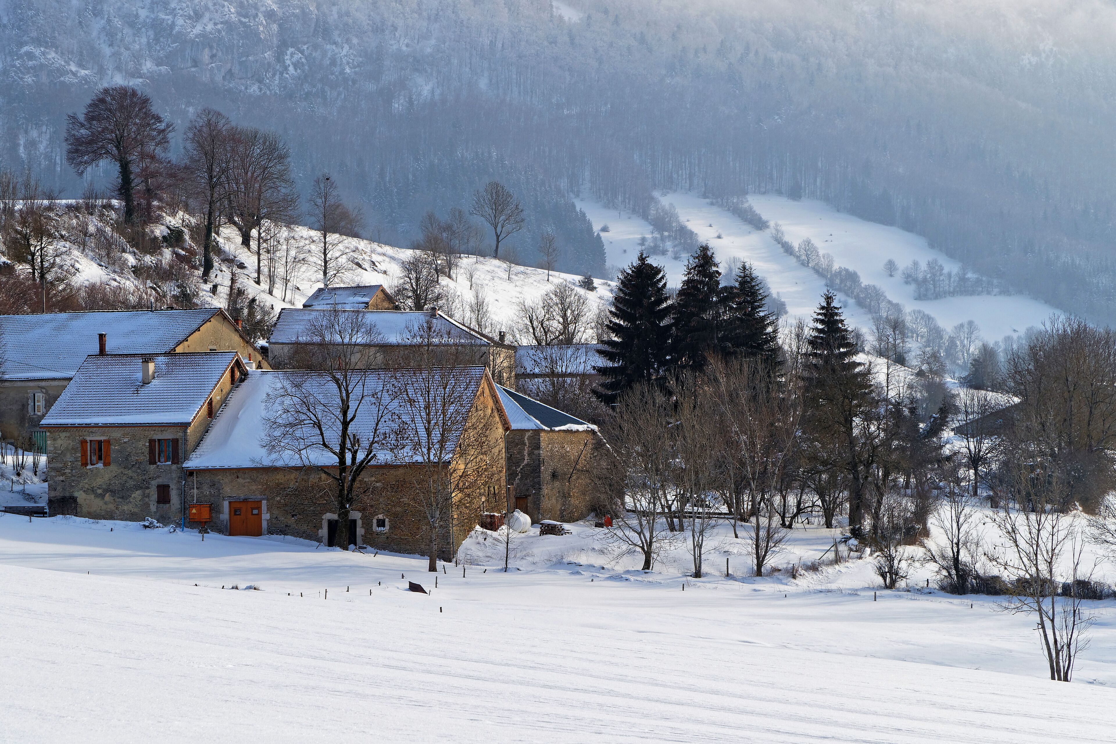 A snow-covered village with stone houses and a forested mountain in the background.