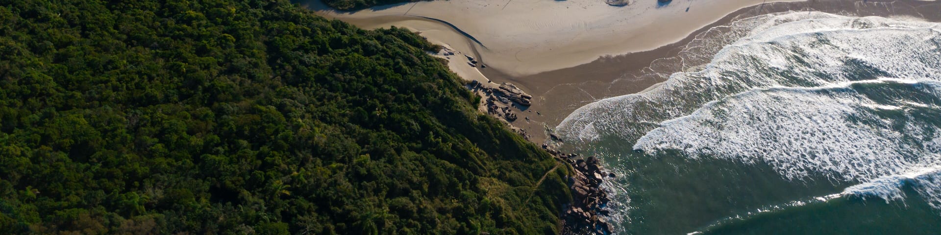 baleia franca free whale ocean oceano mar Eubalaena australis