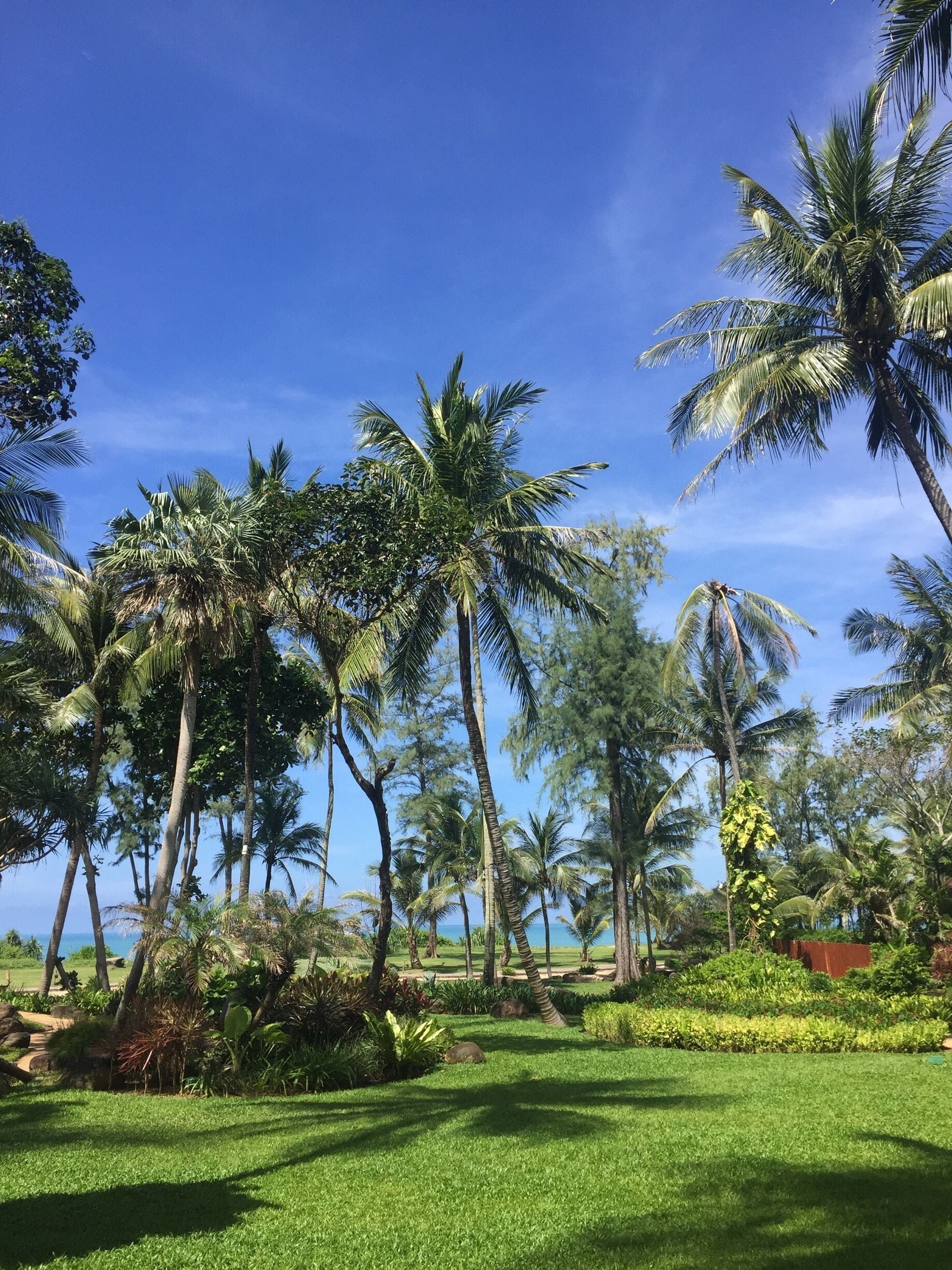 A little out of the way, but an amazing beach all to ourselves 