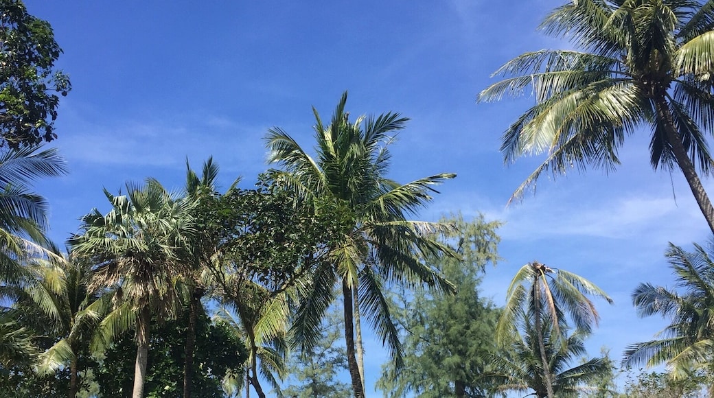 A little out of the way, but an amazing beach all to ourselves