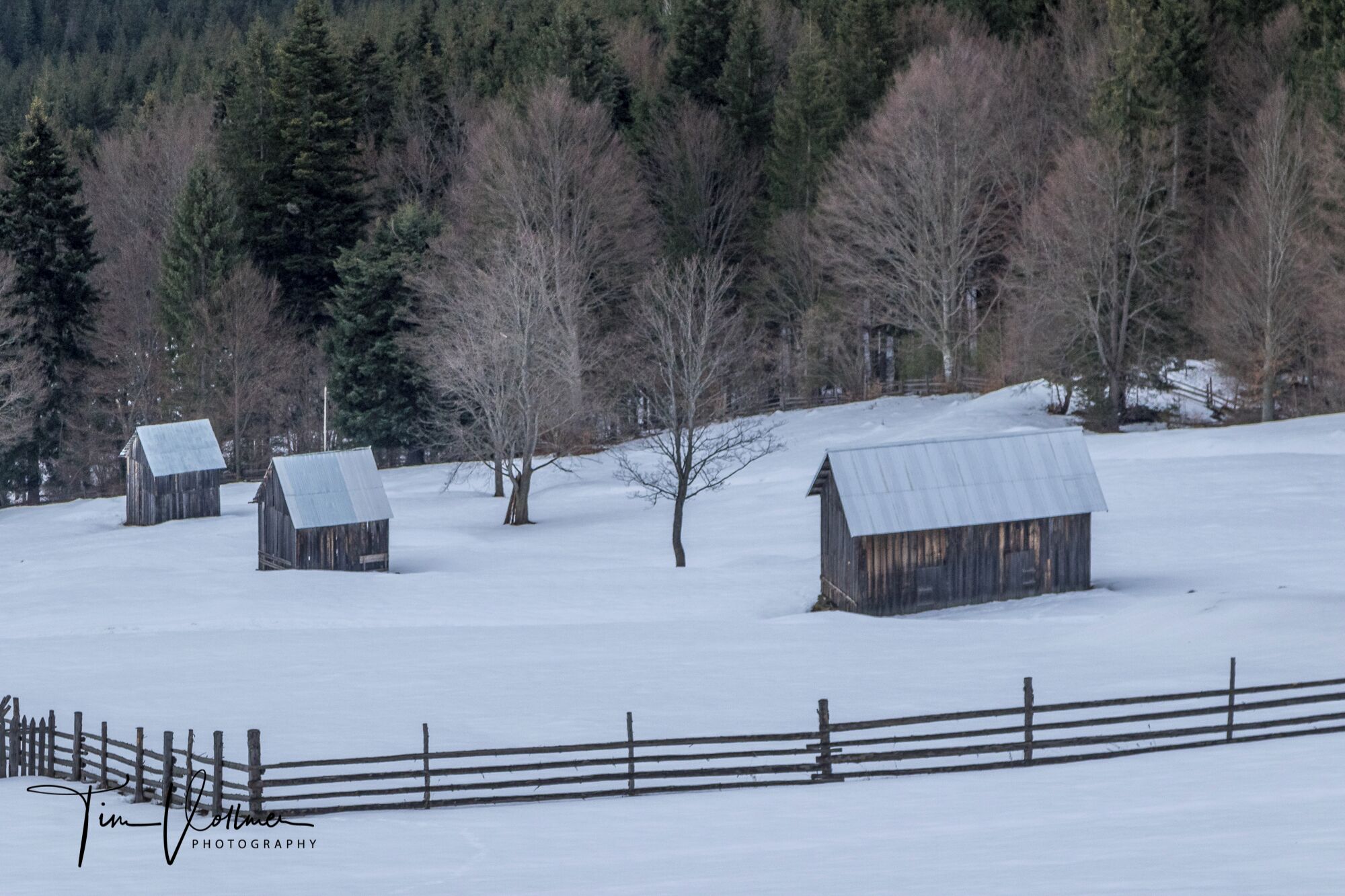A snowy landscape with three wooden barns and a wooden fence.