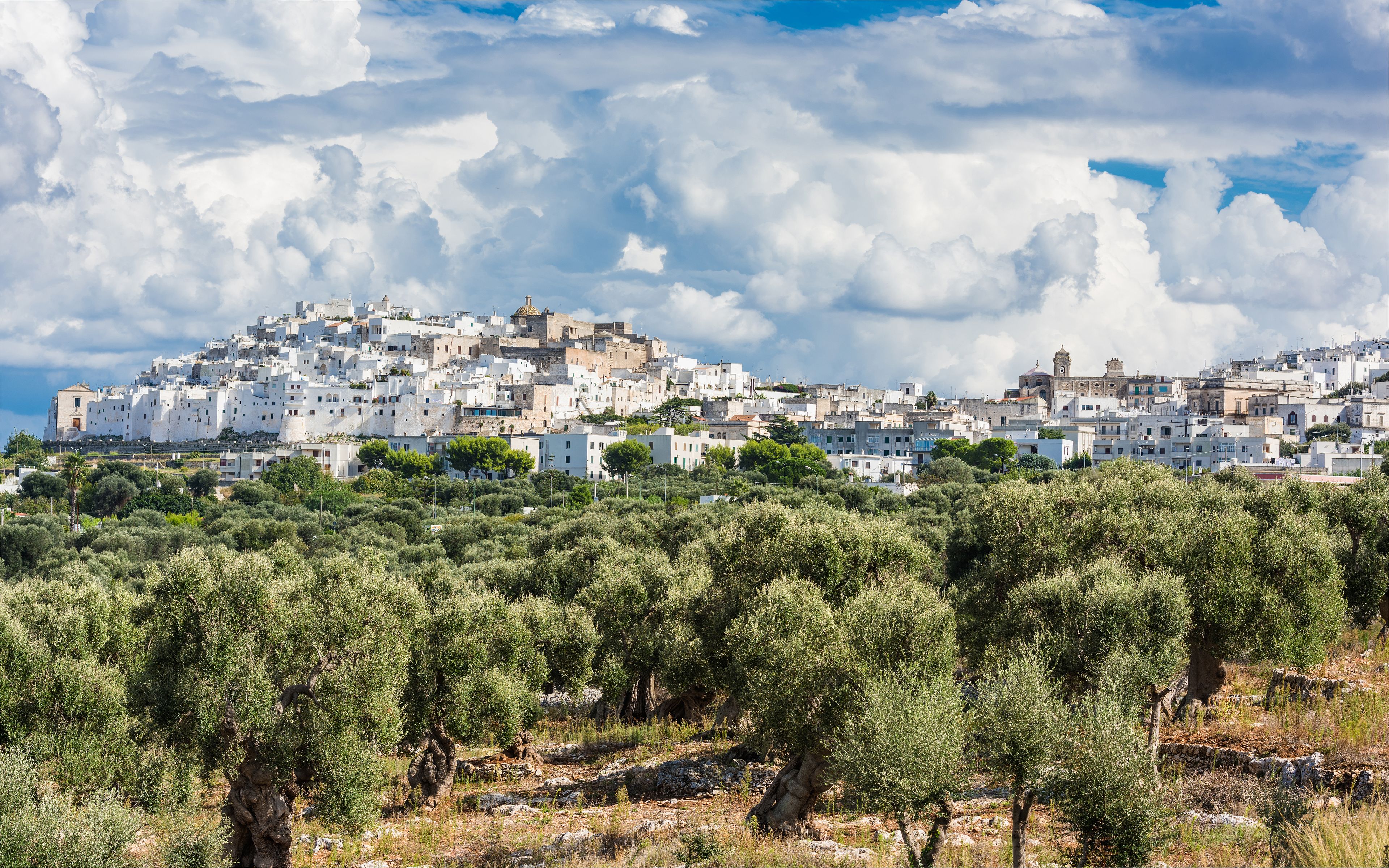 Blick auf Ostuni – Apulien; Italien