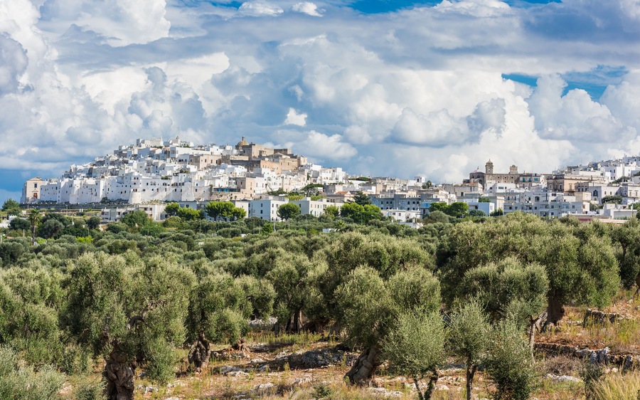 A coastal town with white buildings, olive groves, and a clear sky.