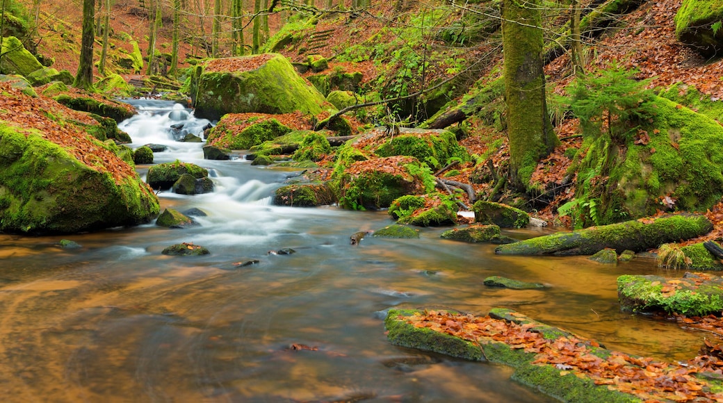 Parque Natural del Palatinado