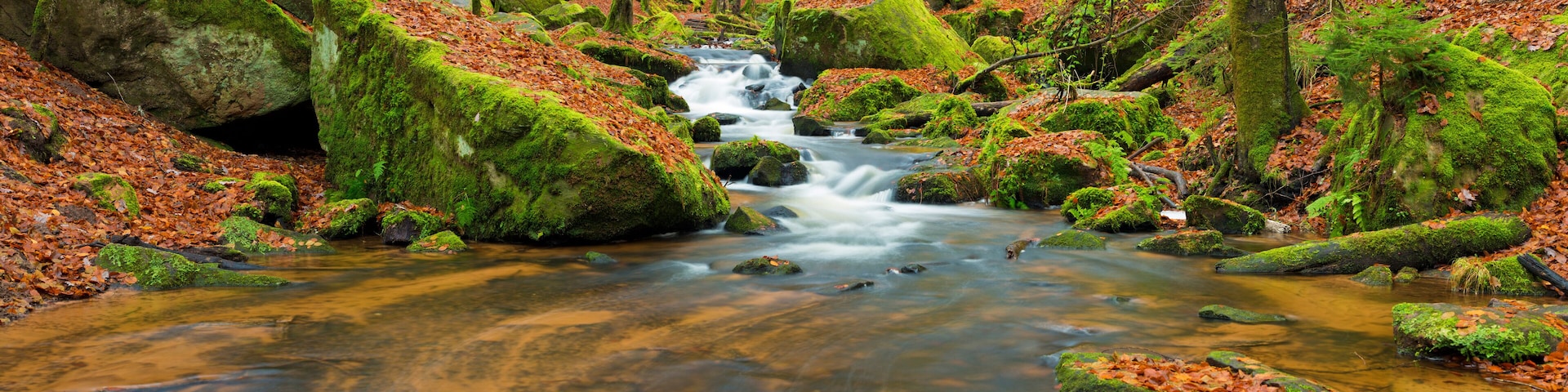 Panorama of mountain stream in autumn - Karlstal - Germany
