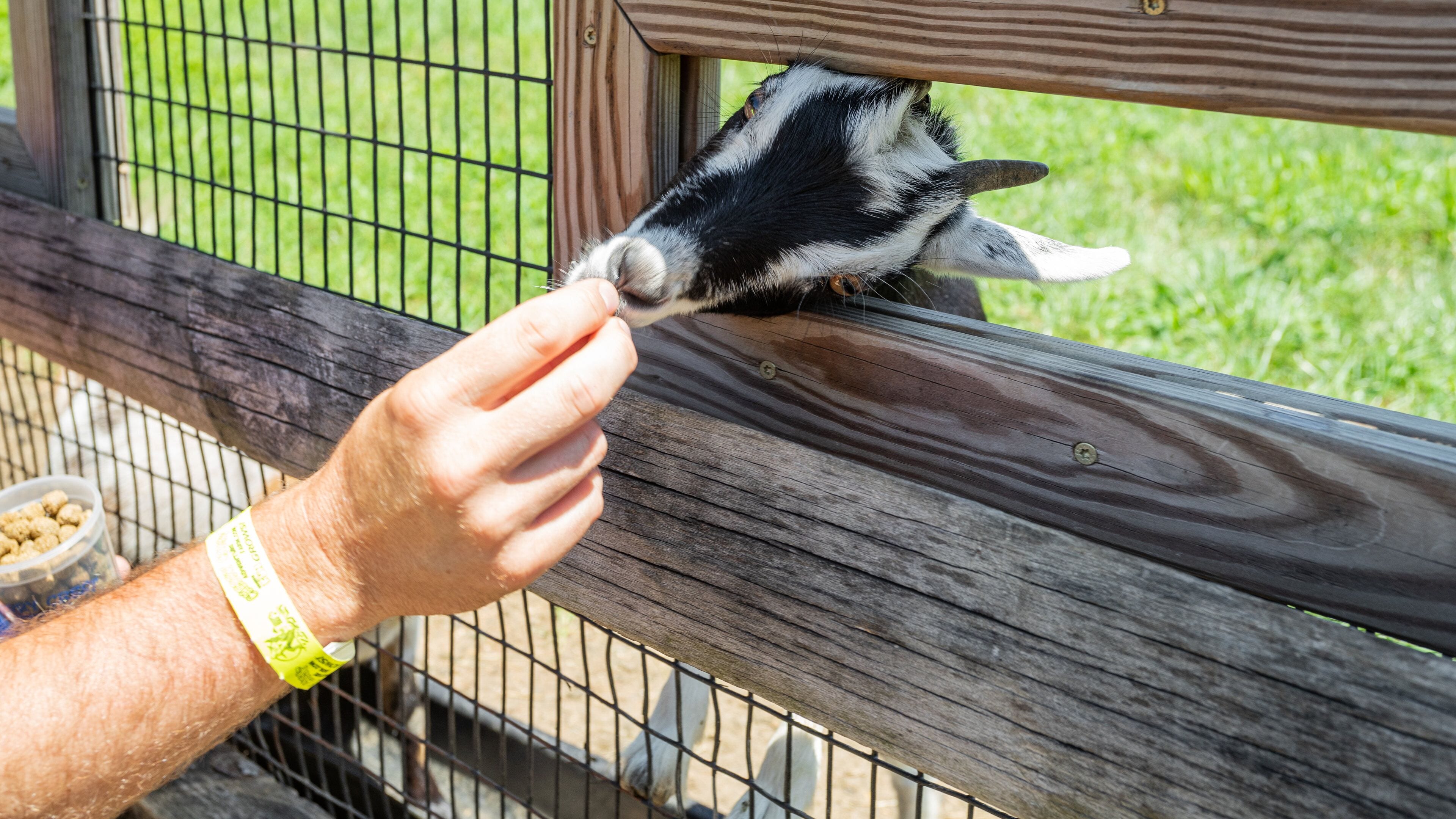 Cherry Crest Adventure Farm