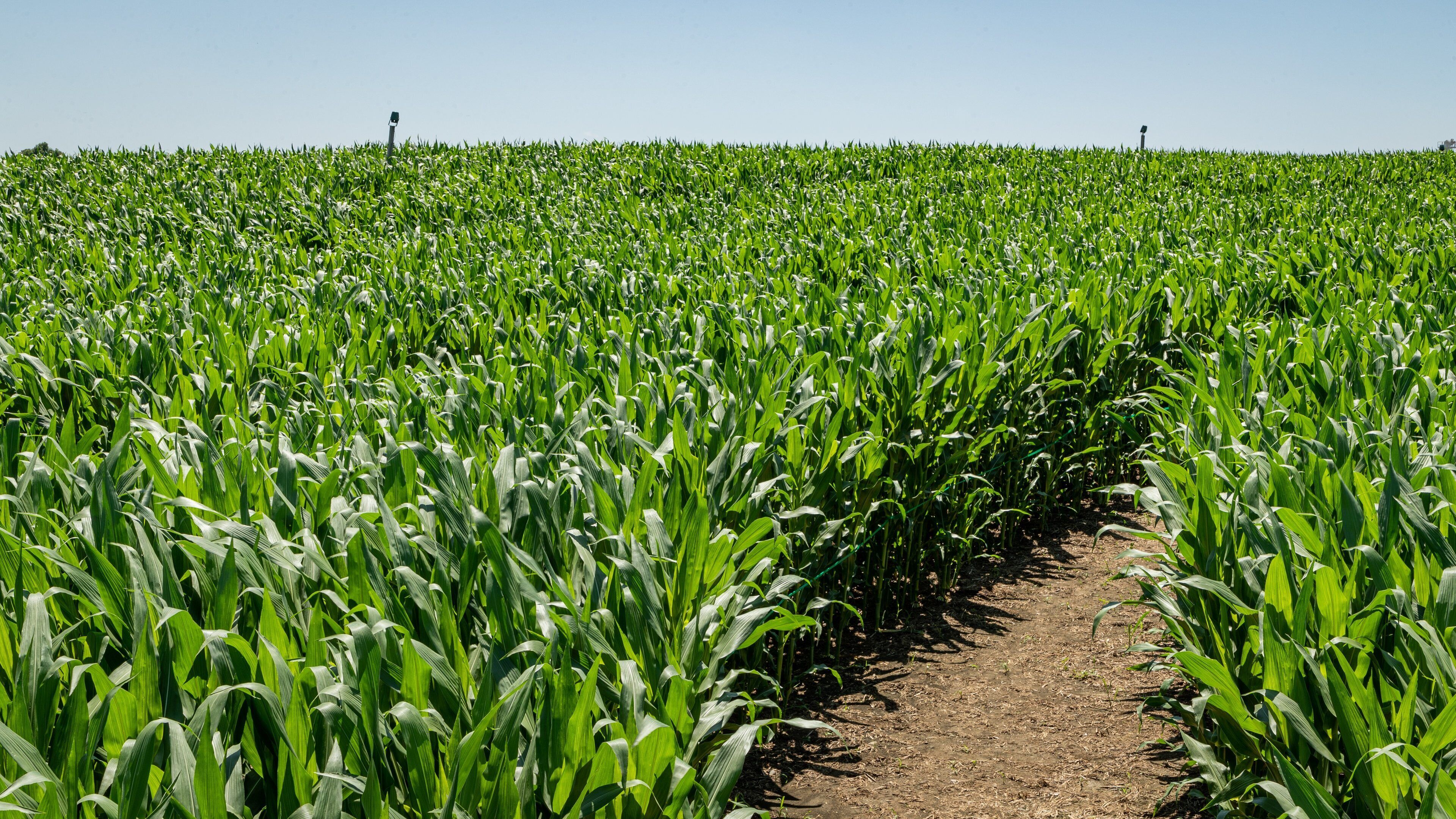 Cherry Crest Adventure Farm showing farmland