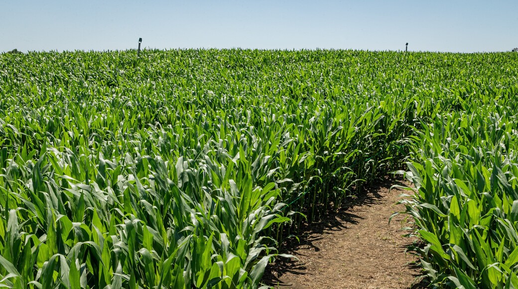 Cherry Crest Adventure Farm showing farmland