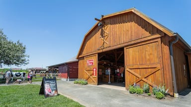 Cherry Crest Adventure Farm