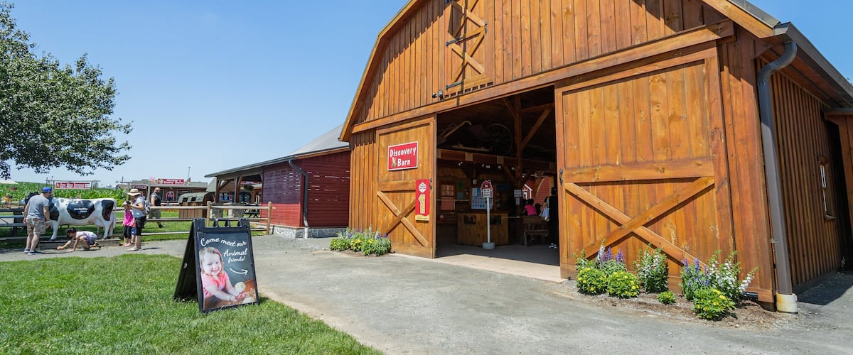 A wooden barn with a sign reading "Discovery Barn".