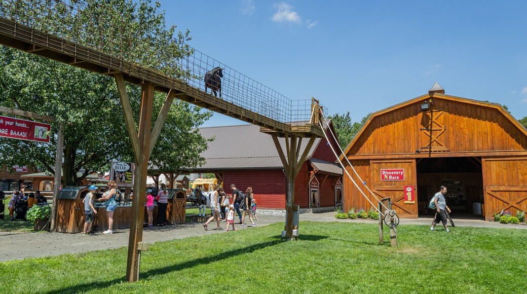 Cherry Crest Adventure Farm