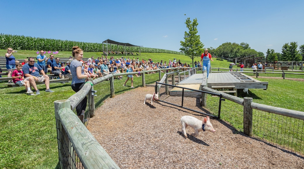 Cherry Crest Adventure Farm
