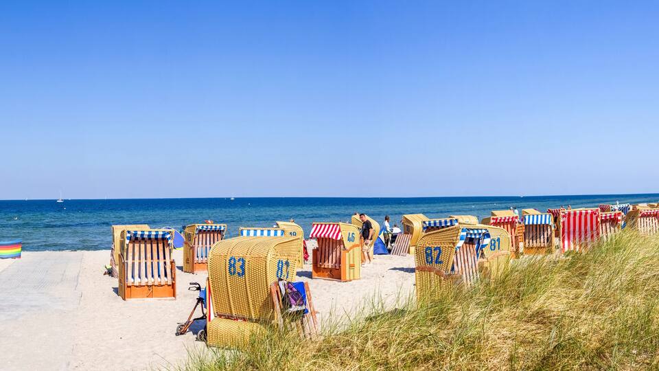 A beach with rows of numbered beach chairs and umbrellas, a sandy path leading to the sea, and a clear blue sky.