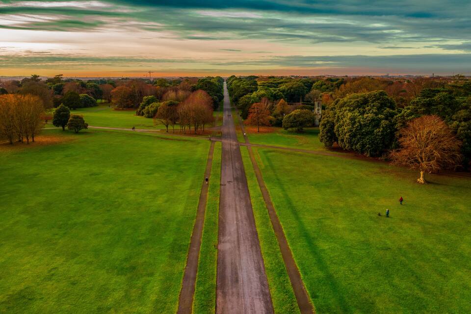 A long, straight road through a park with trees and grass on both sides.
