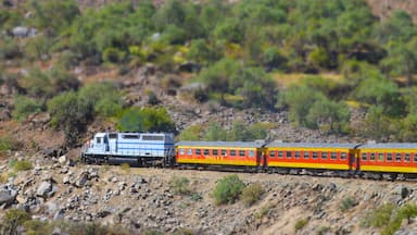 The Ferrocarril Central between Lima and Huancayo, Peru. Crossing the Andes, this train is the 2nd highest train in the world.