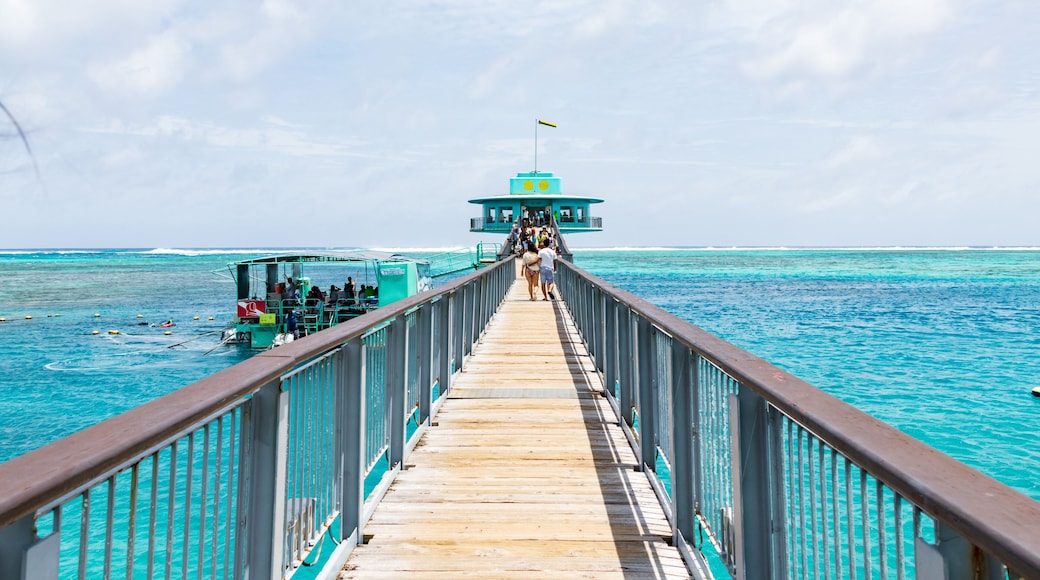 Fish eye marine park, a famous snorkelling and diving spot in Guam