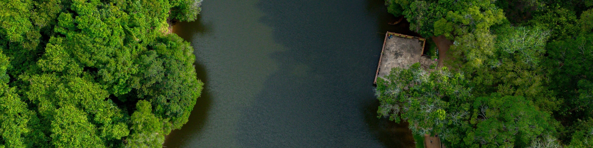 Aerial drone view of Chatin Lake or Tasik Chatin surrounded by greenery trees at Mentakab, Pahang, Malaysia.