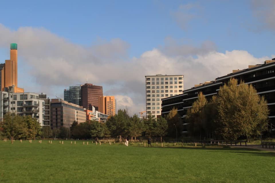 Un parque con un césped, árboles y edificios modernos al fondo.
