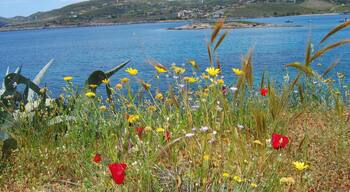Daskalio beach Keratea Attica Greece