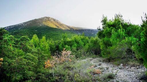 Went hiking with my friend and my dog the other day at Pateras mountain , really beautiful place