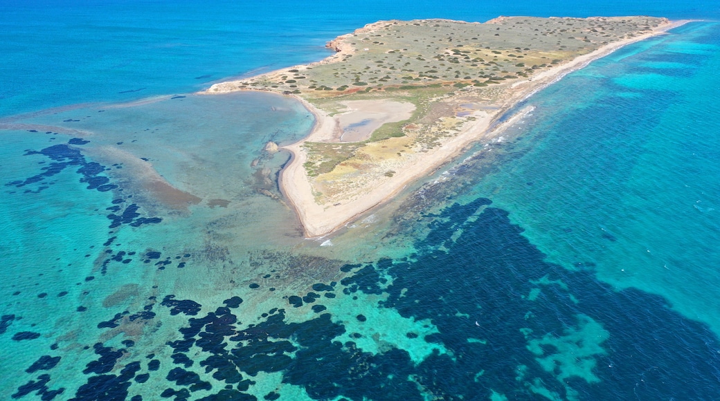 Aerial drone photo of small uninhibited island of Metopi near Aigina island, Saronic gulf, Greece